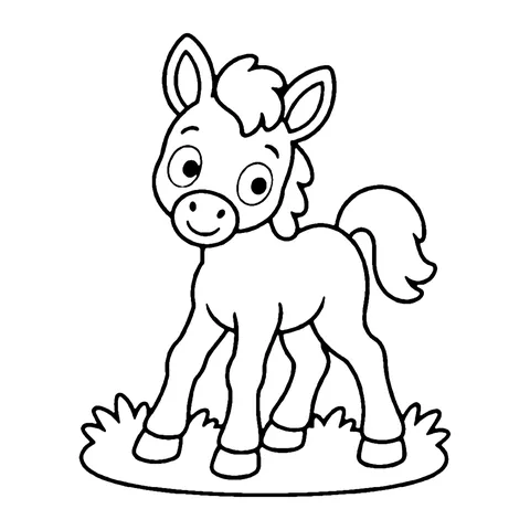 Foal coloring page