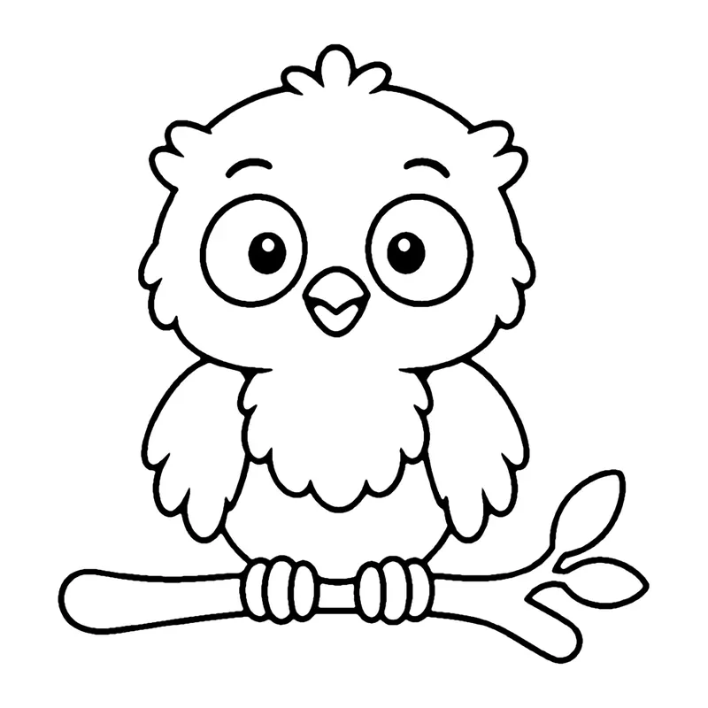 Line drawing of a fluffy baby owl with big round eyes perched on a branch