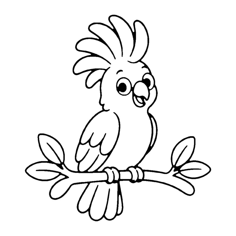 Line drawing of a cockatoo with a tall spiky crest perched on a leafy branch