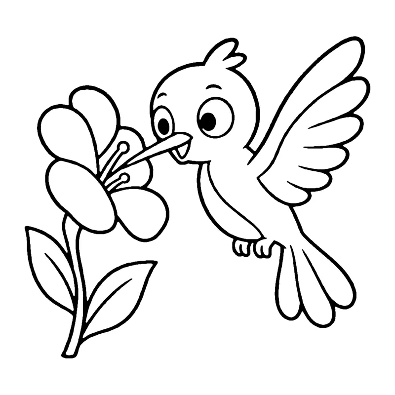 Line drawing of a hummingbird hovering with wings spread, sipping from a flower