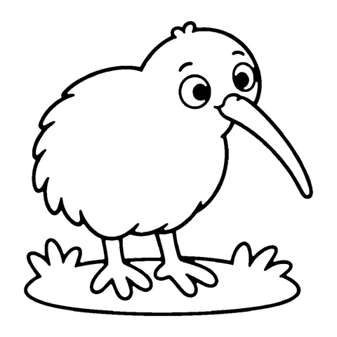 Kiwi Bird coloring page