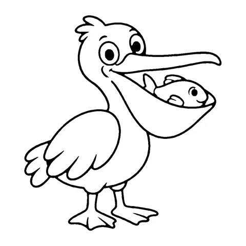 Pelican coloring page