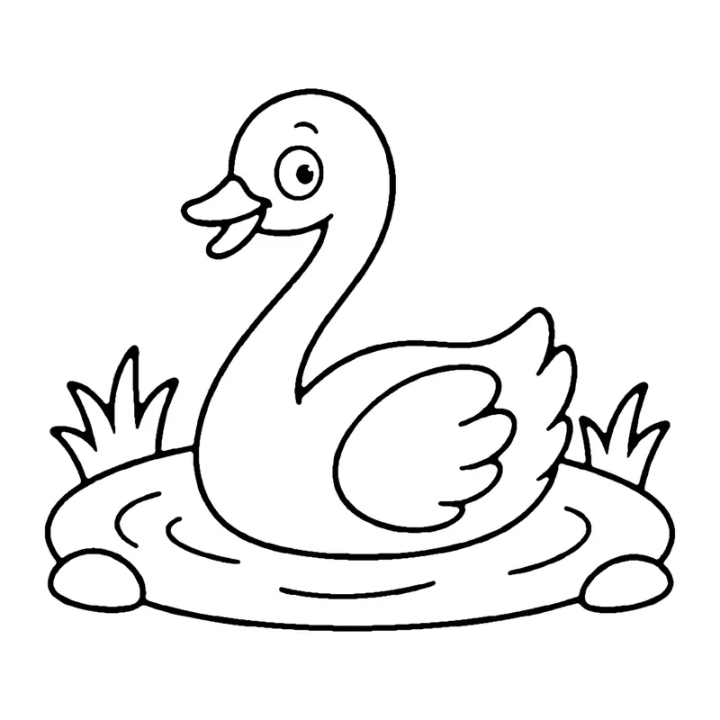 Line drawing of a swan gliding on a small pond with grass at both sides