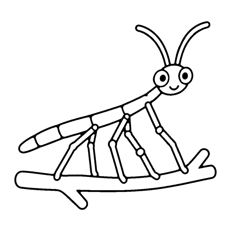 Line drawing of a long, thin stick insect with jointed legs resting on a twig
