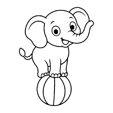 Elephant Balancing on Ball coloring page