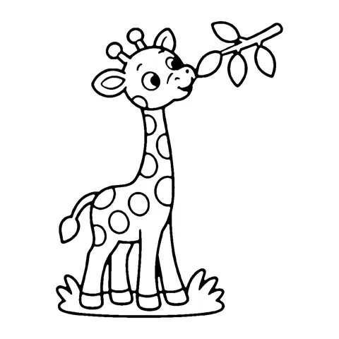 Giraffe coloring page